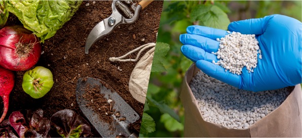 The environmental impact of chemical fertilizers